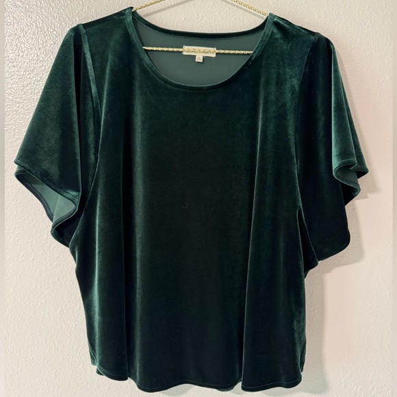 Madewell Tops - Madewell Green Velvet Butterfly Top XL